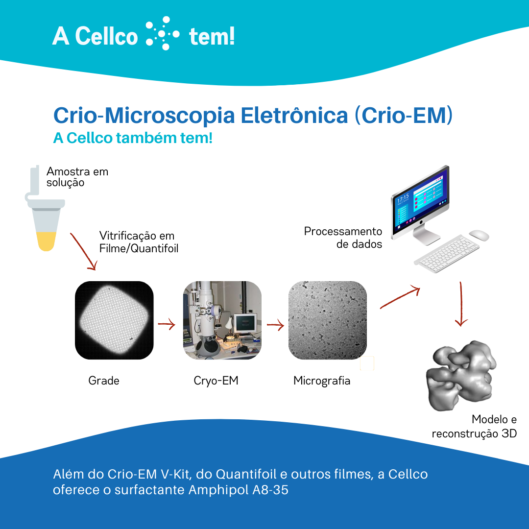 Crio-Microscopia Eletrônica: A Cellco também tem!