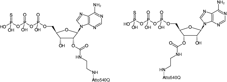 Structural formula of EDA-ATPγS-ATTO-540Q (2'/3'-O-(2-Aminoethyl-carbamoyl)-adenosine-5'-(γ-thio)-triphosphate, labeled with ATTO 540Q, Triethylammonium salt)