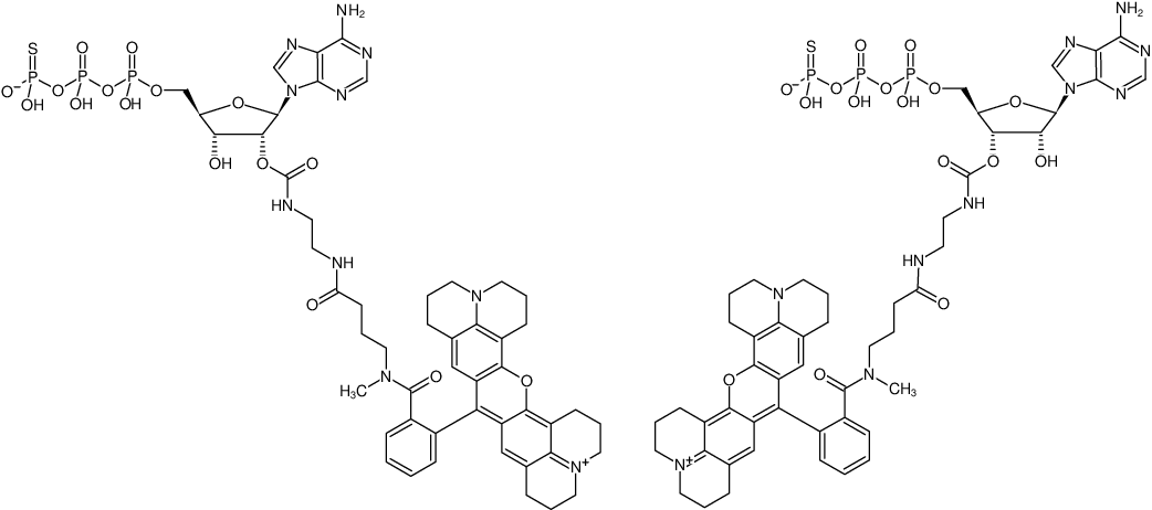 Structural formula of EDA-ATPγS-ATTO-Rho101 (2'/3'-O-(2-Aminoethyl-carbamoyl)-adenosine-5'-(γ-thio)-triphosphate, labeled with ATTO Rho101, Triethylammonium salt)