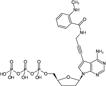 Structural formula of 7-Propargylamino-7-deaza-ddATP-MANT (7-Deaza-7-propargylamino-2',3'-dideoxyadenosine-5'-triphosphate, labeled with MANT, Triethylammonium salt)