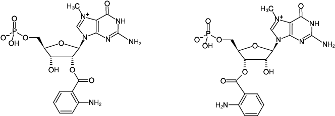 Structural formula of Ant-m7GMP (2'/3'-O-Anthraniloyl-7-methylguanosine-5'-monophosphate, Triethylammonium salt)