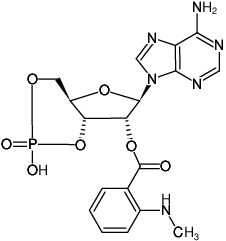 Structural formula of Mant-cAMP (2'-O-(N-Methyl-anthraniloyl)-adenosine-3',5'-cyclic monophosphate, Sodium salt)