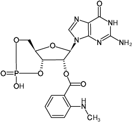 Structural formula of Mant-cGMP (2'-O-(N-Methyl-anthraniloyl)-guanosine-3',5'-cyclic monophosphate, Sodium salt)