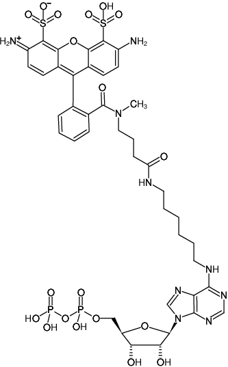 Structural formula of N6-(6-Aminohexyl)-ADP-ATTO-488 (N6-(6-Aminohexyl)-adenosine-5'-diphosphate, labeled with ATTO 488, Triethylammonium salt)