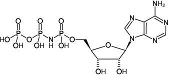 Structural formula of ApNHpp ((AMPNPP), Adenosine-5'-[(α,β)-imido]triphosphate, Sodium salt)