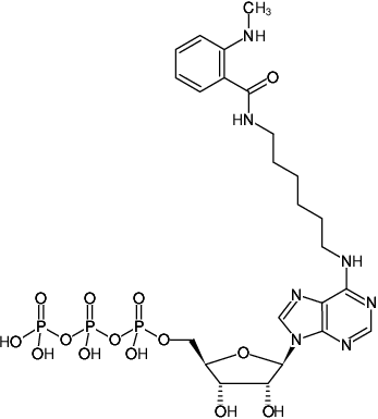 Structural formula of N6-(6-Aminohexyl)-ATP-MANT (N6-(6-Aminohexyl)-adenosine-5'-triphosphate, labeled with MANT, Triethylammonium salt)