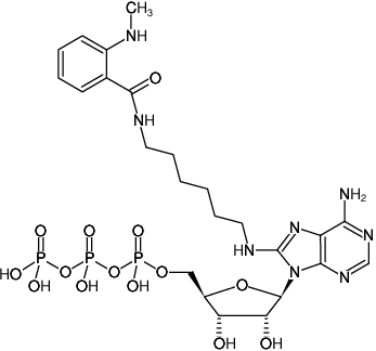 Structural formula of 8-(6-Aminohexyl)-amino-ATP-MANT ((MAHA-ATP), 8-(6-Aminohexyl)-amino-adenosine-5'-triphosphate, labeled with MANT, Triethylammonium salt)