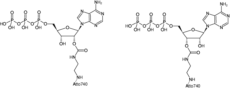 Structural formula of EDA-ATP-ATTO-740 (2'/3'-O-(2-Aminoethyl-carbamoyl)-Adenosine-5'-triphosphate, labeled with ATTO 740, Triethylammonium salt)
