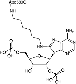 Structural formula of 8-(6-Aminohexyl)-amino-adenosine-2',5'-bisphosphate-ATTO-580Q (8-(6-Aminohexyl)-amino-adenosine-2',5'-bisphosphate, labeled with ATTO 580Q, Triethylammonium salt)