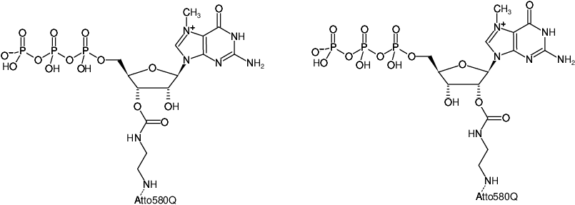 Structural formula of EDA-m7GTP-ATTO-580Q (2'/3'-O-(2-Aminoethyl-carbamoyl)-7-methyl-guanosine-5'-triphosphate, labeled with ATTO 580Q, Triethylammonium salt)