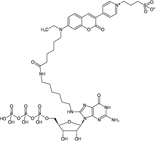 Structural formula of 8-(6-Aminohexyl)-amino-GTP-DY-485XL (8-(6-Aminohexyl)-amino-guanosine-5'-triphosphate, labeled with DY 485XL, Triethylammonium salt)