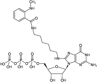 Structural formula of 8-(6-Aminohexyl)-amino-GTP-MANT (8-(6-Aminohexyl)-amino-guanosine-5'-triphosphate, labeled with MANT, Triethylammonium salt)
