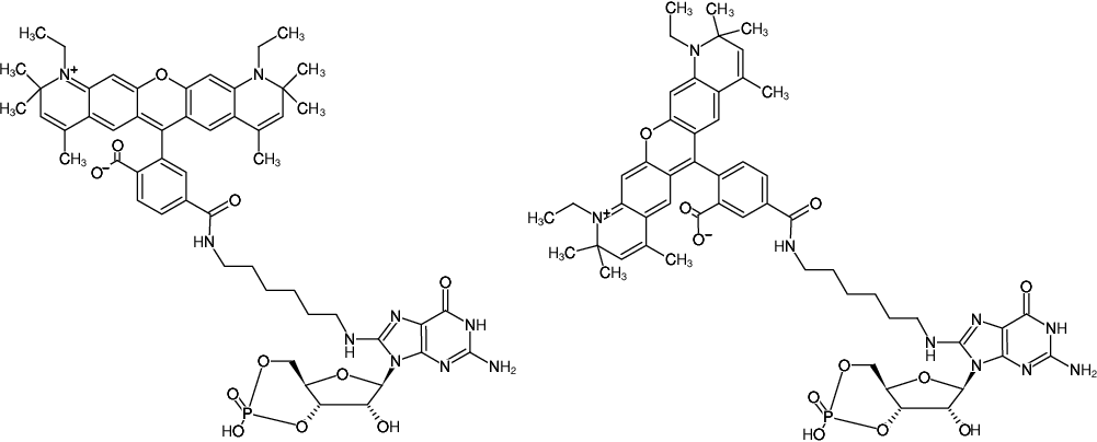 Structural formula of 8-(6-Aminohexyl)-amino-cGMP-ATTO-590 (8-(6-Aminohexyl)-amino-guanosine-3',5'-cyclic monophosphate, labeled with ATTO 590)