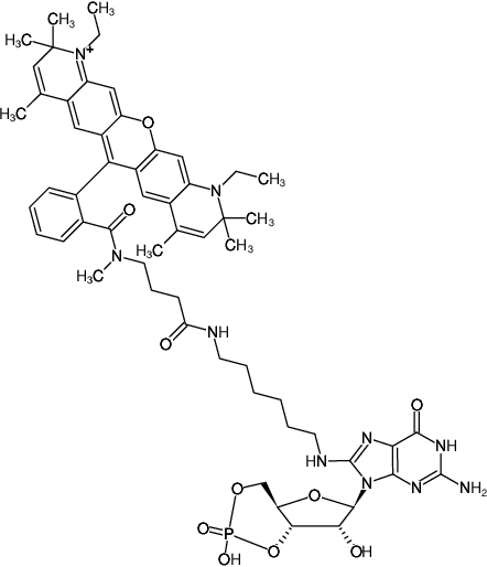Structural formula of 8-(6-Aminohexyl)-amino-cGMP-ATTO-Rho13 (8-(6-Aminohexyl)-amino-guanosine-3',5'-cyclic monophosphate, labeled with ATTO Rho13, Triethylammonium salt)