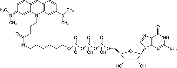 Structural formula of γ-(6-Aminohexyl)-GTP-ATTO-495 (γ-(6-Aminohexyl)-guanosine-5'-triphosphate, labeled with ATTO 495, Triethylammonium salt)