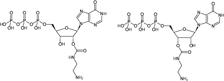Structural formula of EDA-ITP (2'/3'-O-(2-Aminoethyl-carbamoyl)-Inosine-5'-triphosphate, Sodium salt)