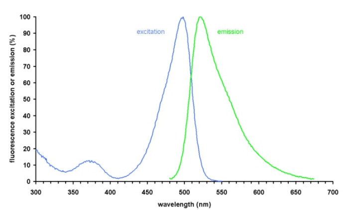 Excitation (left) and emission (right) spectra of SYBR Green bound to dsDNA